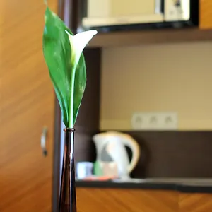 Baron Hotell